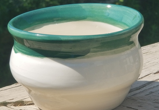 Ceramic Bowl with Green Rim